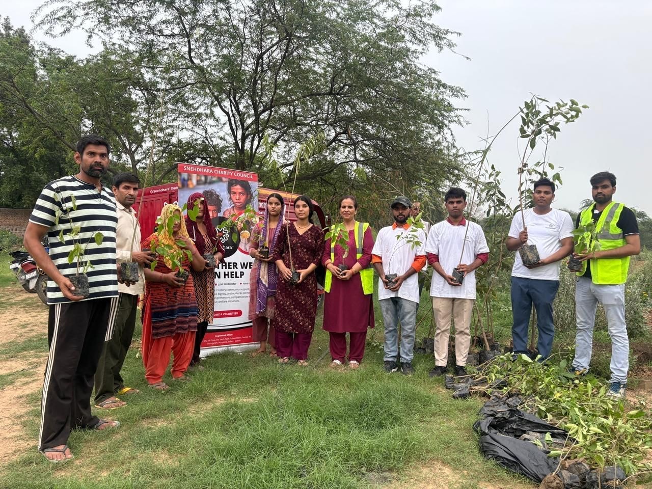 Plantation Drive